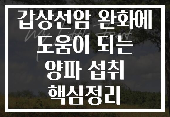 갑상선암 완화에 도움이 되는 양파 섭취 핵심정리