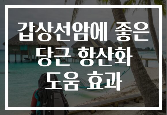 갑상선암에 좋은 당근 항산화 도움 효과