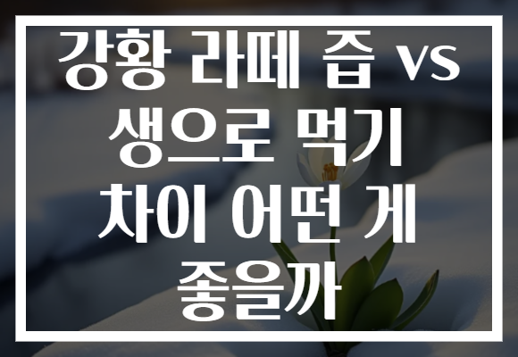 강황 라떼 즙 vs 생으로 먹기 차이 어떤 게 좋을까