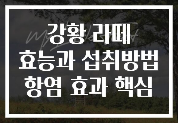 강황 라떼 효능과 섭취방법 항염 효과 핵심