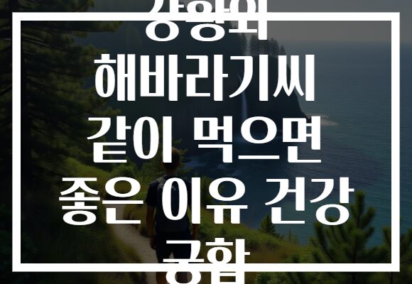 강황와 해바라기씨 같이 먹으면 좋은 이유 건강 궁합