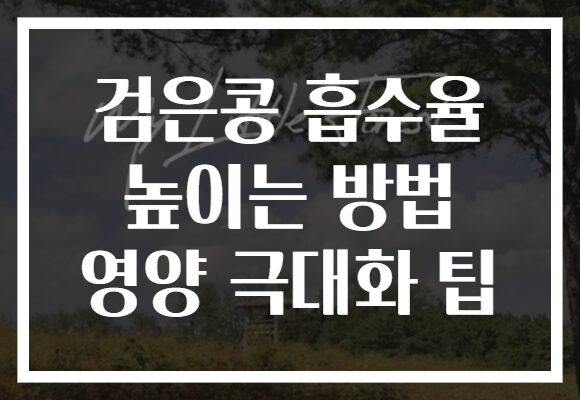 검은콩 흡수율 높이는 방법 영양 극대화 팁