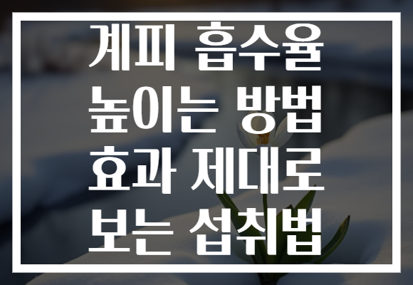 계피 흡수율 높이는 방법 효과 제대로 보는 섭취법