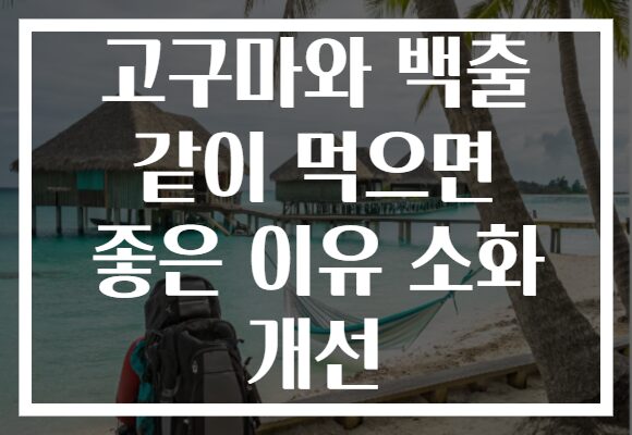 고구마와 백출 같이 먹으면 좋은 이유 소화 개선