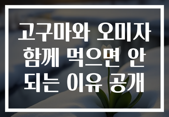 고구마와 오미자 함께 먹으면 안 되는 이유 공개
