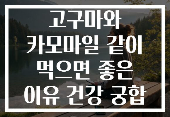 고구마와 카모마일 같이 먹으면 좋은 이유 건강 궁합