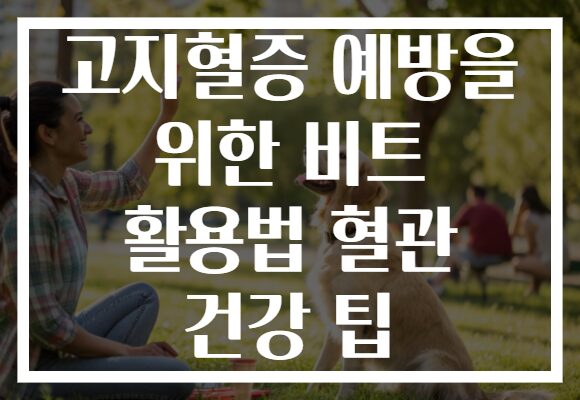 고지혈증 예방을 위한 비트 활용법 혈관 건강 팁