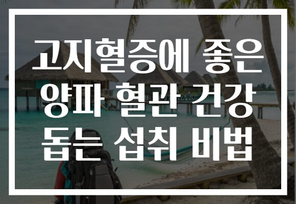 고지혈증에 좋은 양파 혈관 건강 돕는 섭취 비법