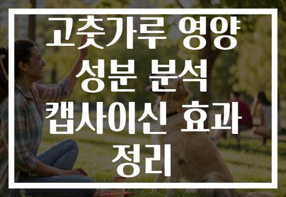 고춧가루 영양 성분 분석 캡사이신 효과 정리