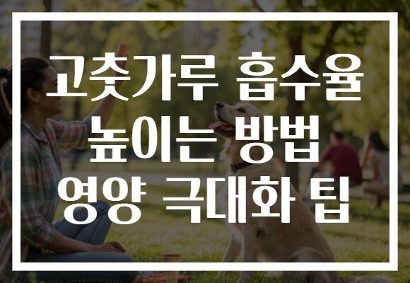 고춧가루 흡수율 높이는 방법 영양 극대화 팁