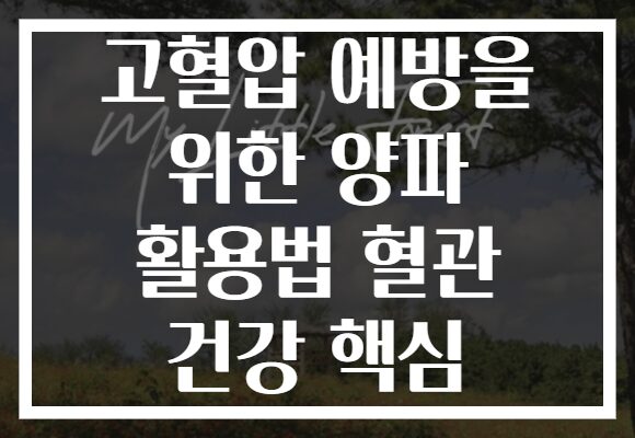 고혈압 예방을 위한 양파 활용법 혈관 건강 핵심