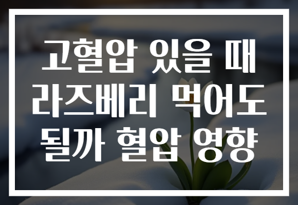 고혈압 있을 때 라즈베리 먹어도 될까 혈압 영향