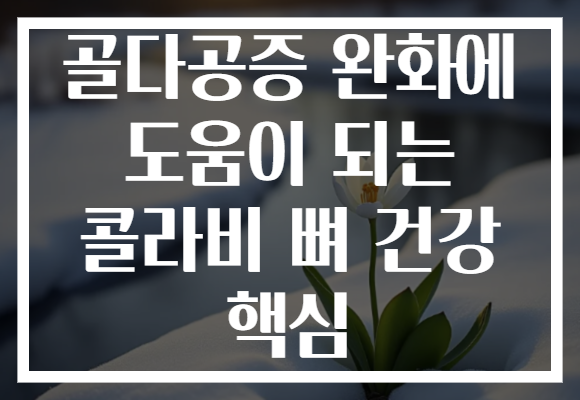 골다공증 완화에 도움이 되는 콜라비 뼈 건강 핵심