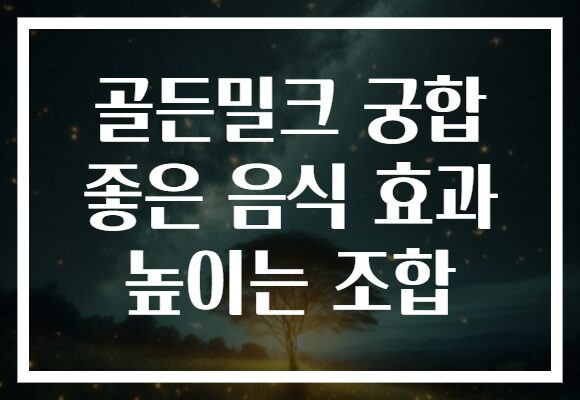 골든밀크 궁합 좋은 음식 효과 높이는 조합