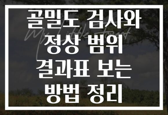 골밀도 검사와 정상 범위 결과표 보는 방법 정리