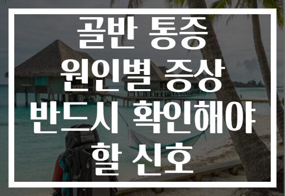 골반 통증 원인별 증상 반드시 확인해야 할 신호