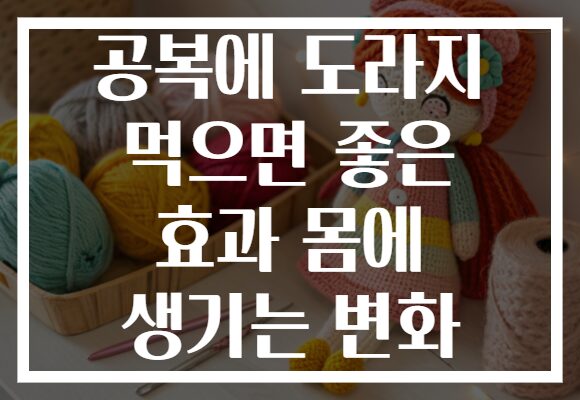 공복에 도라지 먹으면 좋은 효과 몸에 생기는 변화