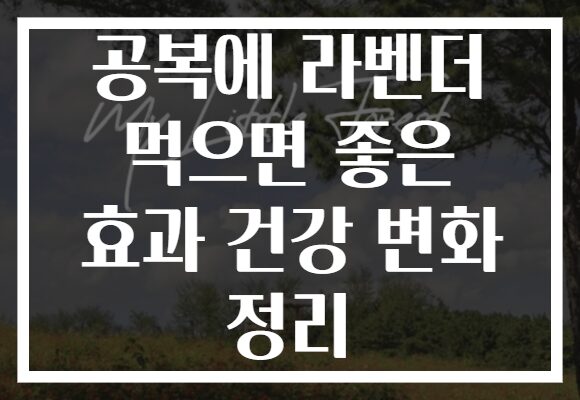 공복에 라벤더 먹으면 좋은 효과 건강 변화 정리
