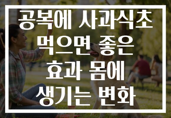 공복에 사과식초 먹으면 좋은 효과 몸에 생기는 변화