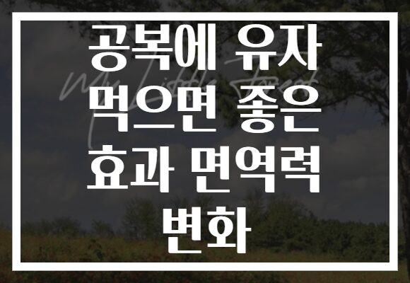 공복에 유자 먹으면 좋은 효과 면역력 변화