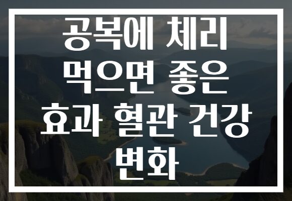 공복에 체리 먹으면 좋은 효과 혈관 건강 변화
