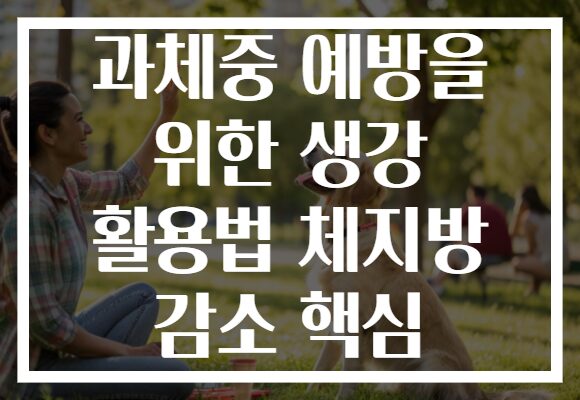 과체중 예방을 위한 생강 활용법 체지방 감소 핵심