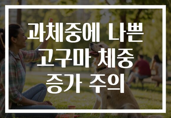 과체중에 나쁜 고구마 체중 증가 주의