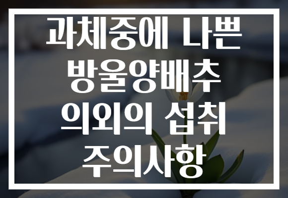 과체중에 나쁜 방울양배추 의외의 섭취 주의사항