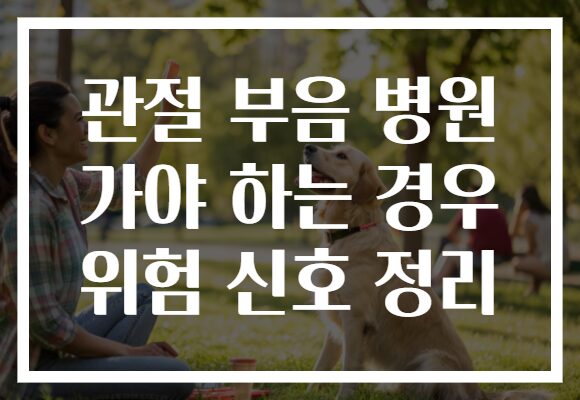 관절 부음 병원 가야 하는 경우 위험 신호 정리