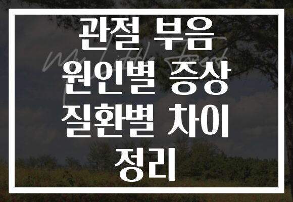 관절 부음 원인별 증상 질환별 차이 정리
