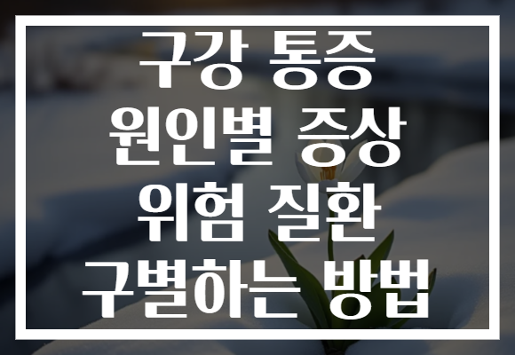 구강 통증 원인별 증상 위험 질환 구별하는 방법