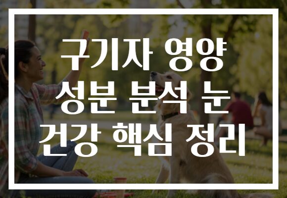 구기자 영양 성분 분석 눈 건강 핵심 정리