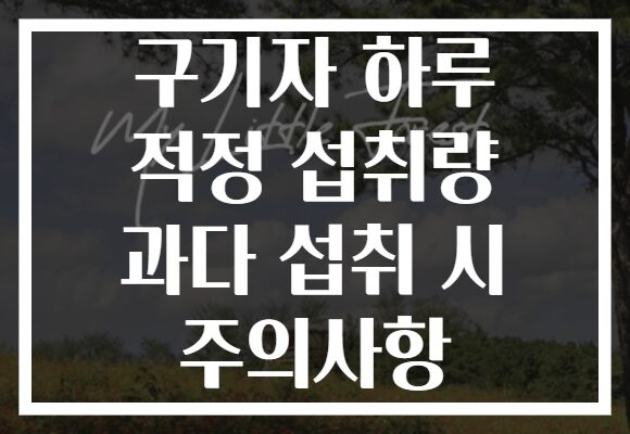 구기자 하루 적정 섭취량 과다 섭취 시 주의사항