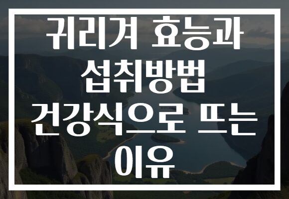 귀리겨 효능과 섭취방법 건강식으로 뜨는 이유