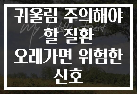 귀울림 주의해야 할 질환 오래가면 위험한 신호