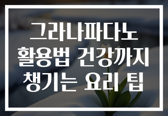 그라나파다노 활용법 건강까지 챙기는 요리 팁