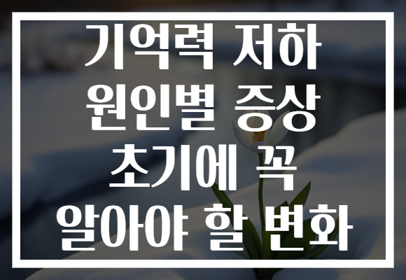 기억력 저하 원인별 증상 초기에 꼭 알아야 할 변화
