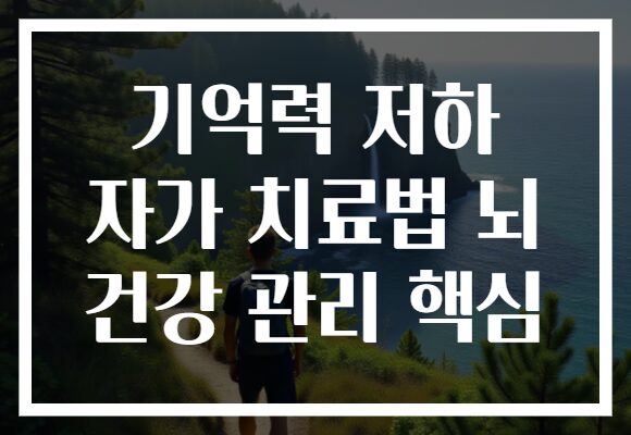 기억력 저하 자가 치료법 뇌 건강 관리 핵심