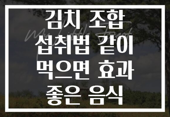 김치 조합 섭취법 같이 먹으면 효과 좋은 음식