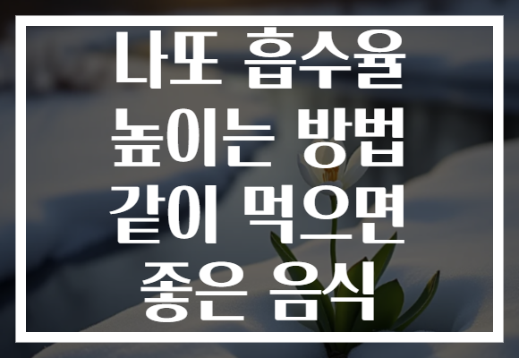 나또 흡수율 높이는 방법 같이 먹으면 좋은 음식