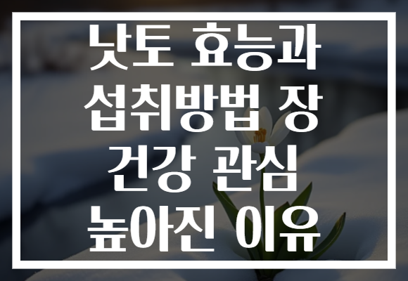 낫토 효능과 섭취방법 장 건강 관심 높아진 이유