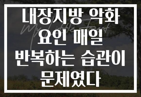 내장지방 악화 요인 매일 반복하는 습관이 문제였다