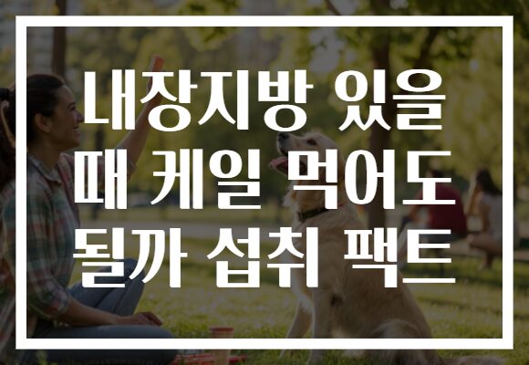 내장지방 있을 때 케일 먹어도 될까 섭취 팩트