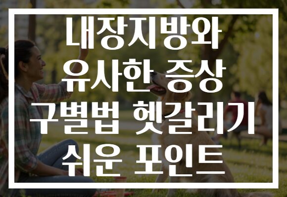 내장지방와 유사한 증상 구별법 헷갈리기 쉬운 포인트