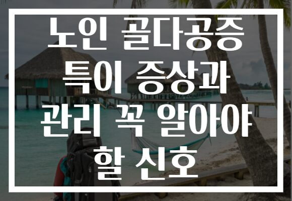노인 골다공증 특이 증상과 관리 꼭 알아야 할 신호
