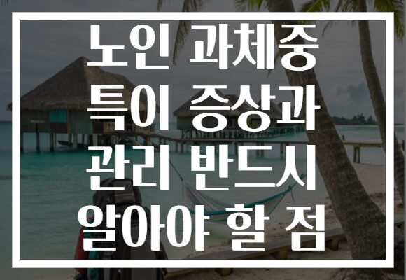 노인 과체중 특이 증상과 관리 반드시 알아야 할 점