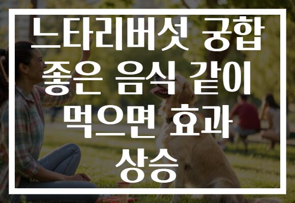 느타리버섯 궁합 좋은 음식 같이 먹으면 효과 상승