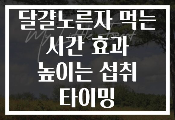 달걀노른자 먹는 시간 효과 높이는 섭취 타이밍
