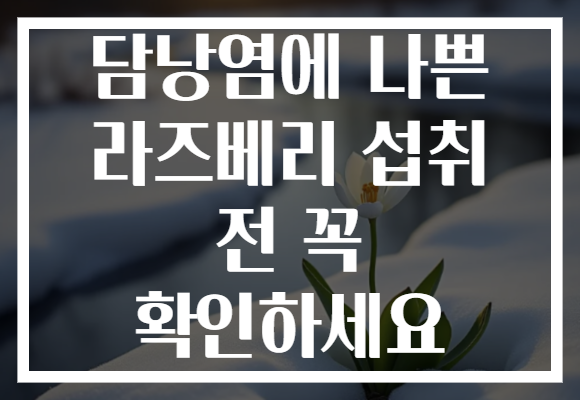 담낭염에 나쁜 라즈베리 섭취 전 꼭 확인하세요