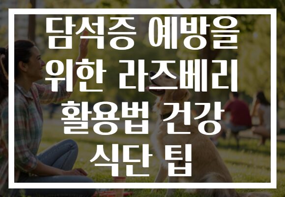 담석증 예방을 위한 라즈베리 활용법 건강 식단 팁